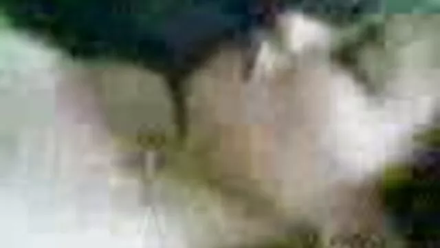 Σεξ χωρίς εγγραφή  Ένα ζευγάρι των πορνο γρεεκ φοιτητών ήθελε να παίξει μερικά μετά το ζευγάρι στο γραφείο